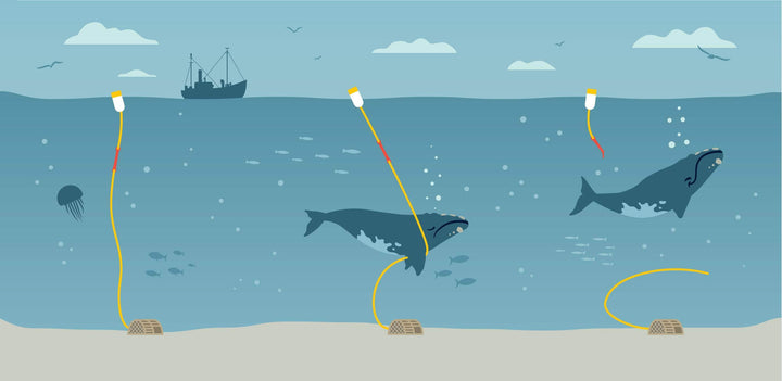 SK-CCG-BRKWAY-6 Coast Line